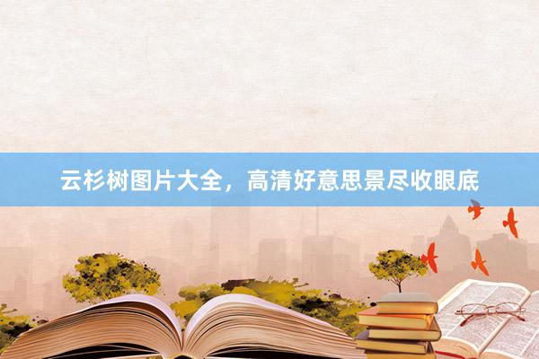 云杉树图片大全，高清好意思景尽收眼底